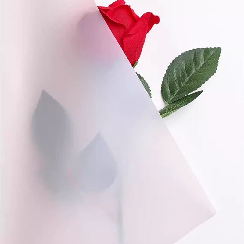 Magnificent Paper Solid Color 001