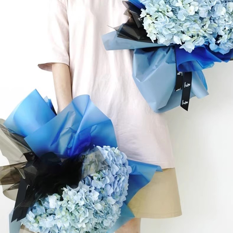 Magnificent Paper Solid Color 001